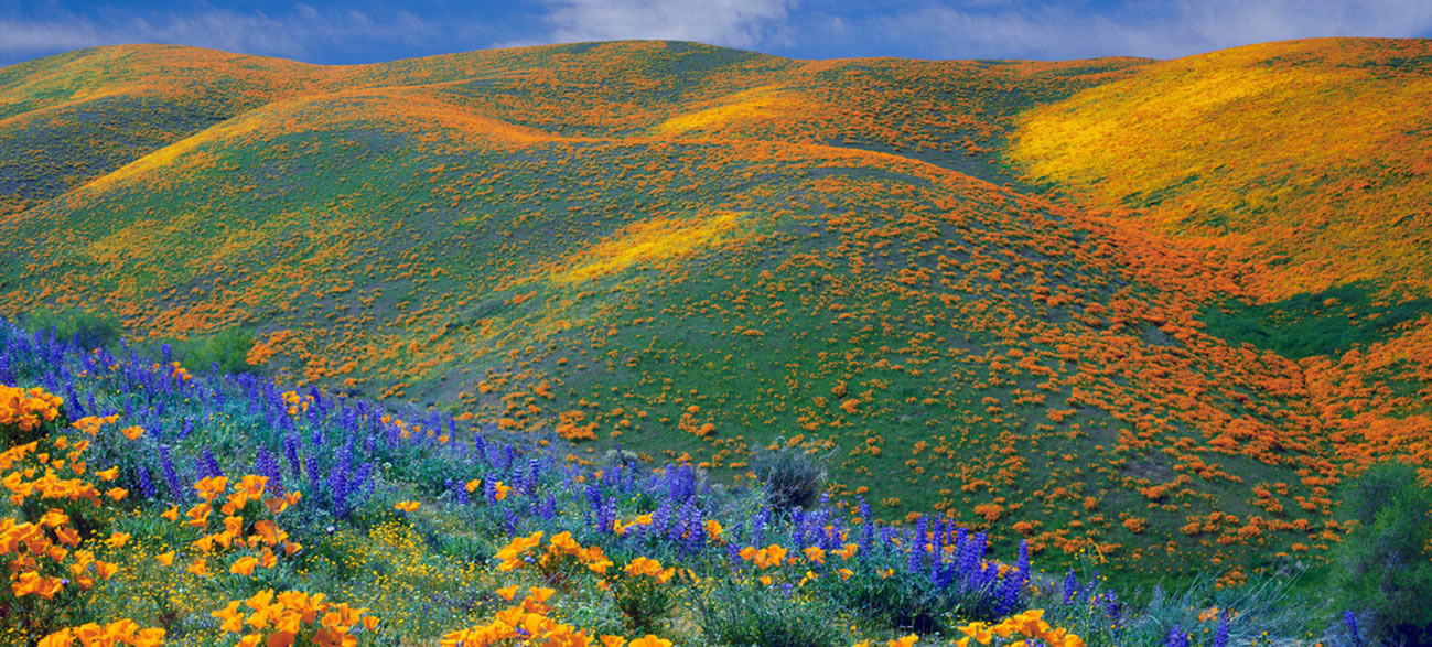 KITULO PLATEAU PARK