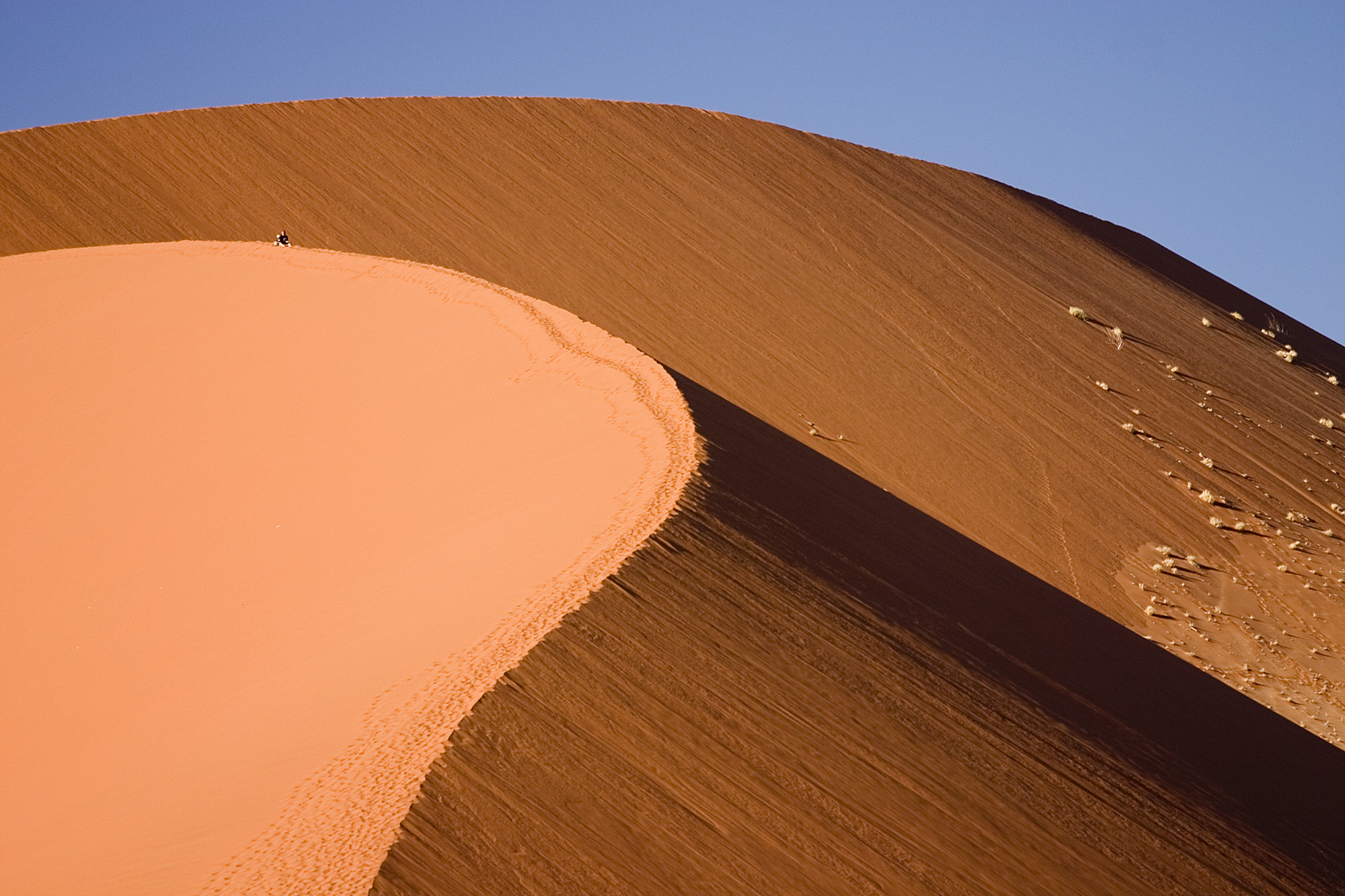 Namibia deserto