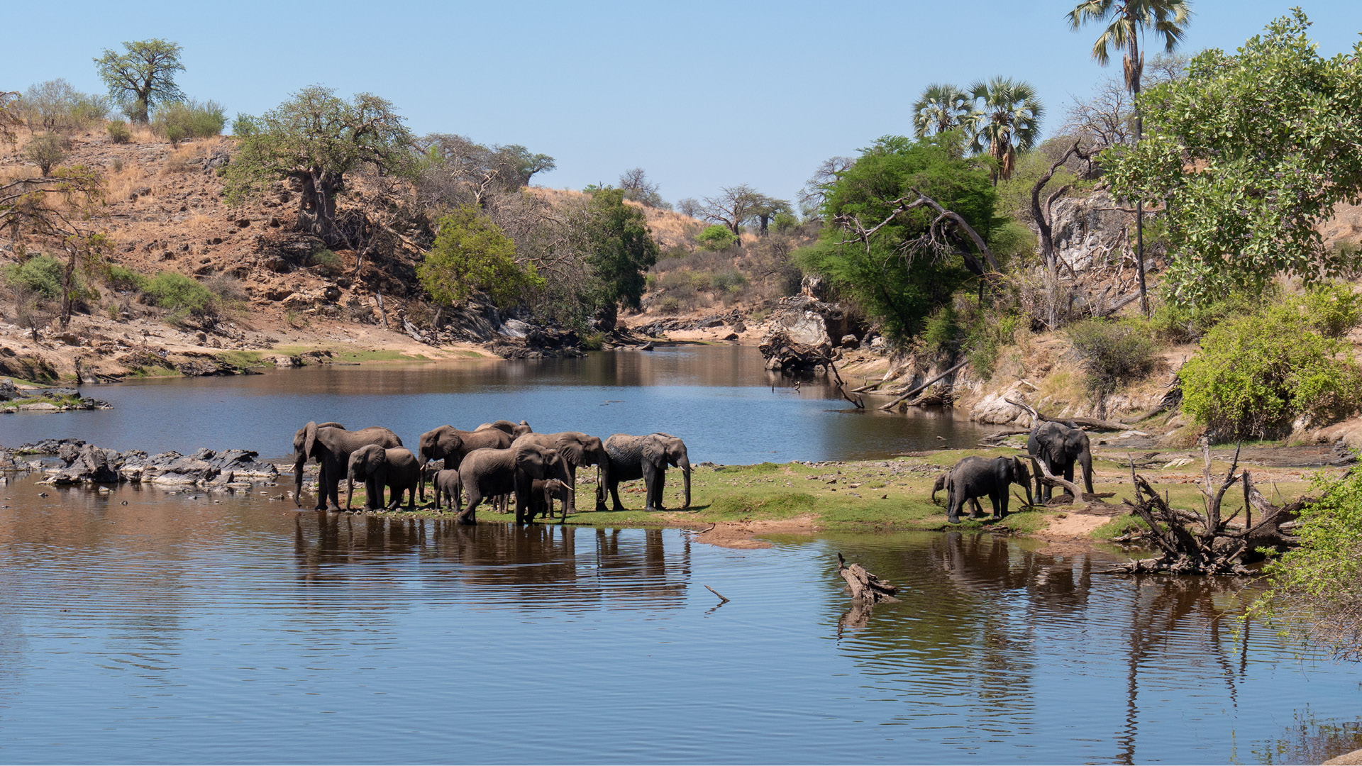 RUAHA PARK