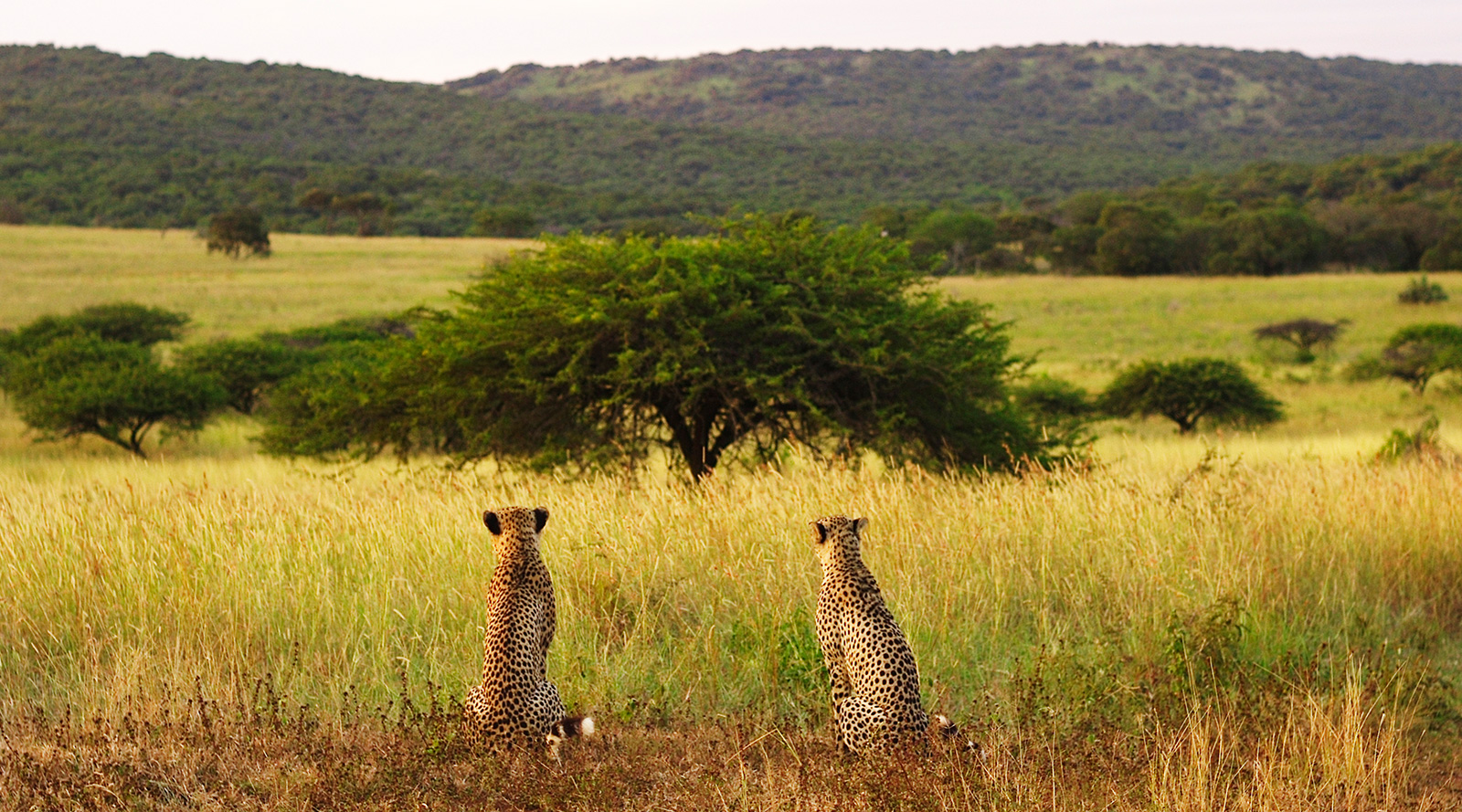 Sudafrica paesaggio