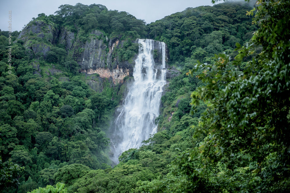 UDZUNGWA PARK