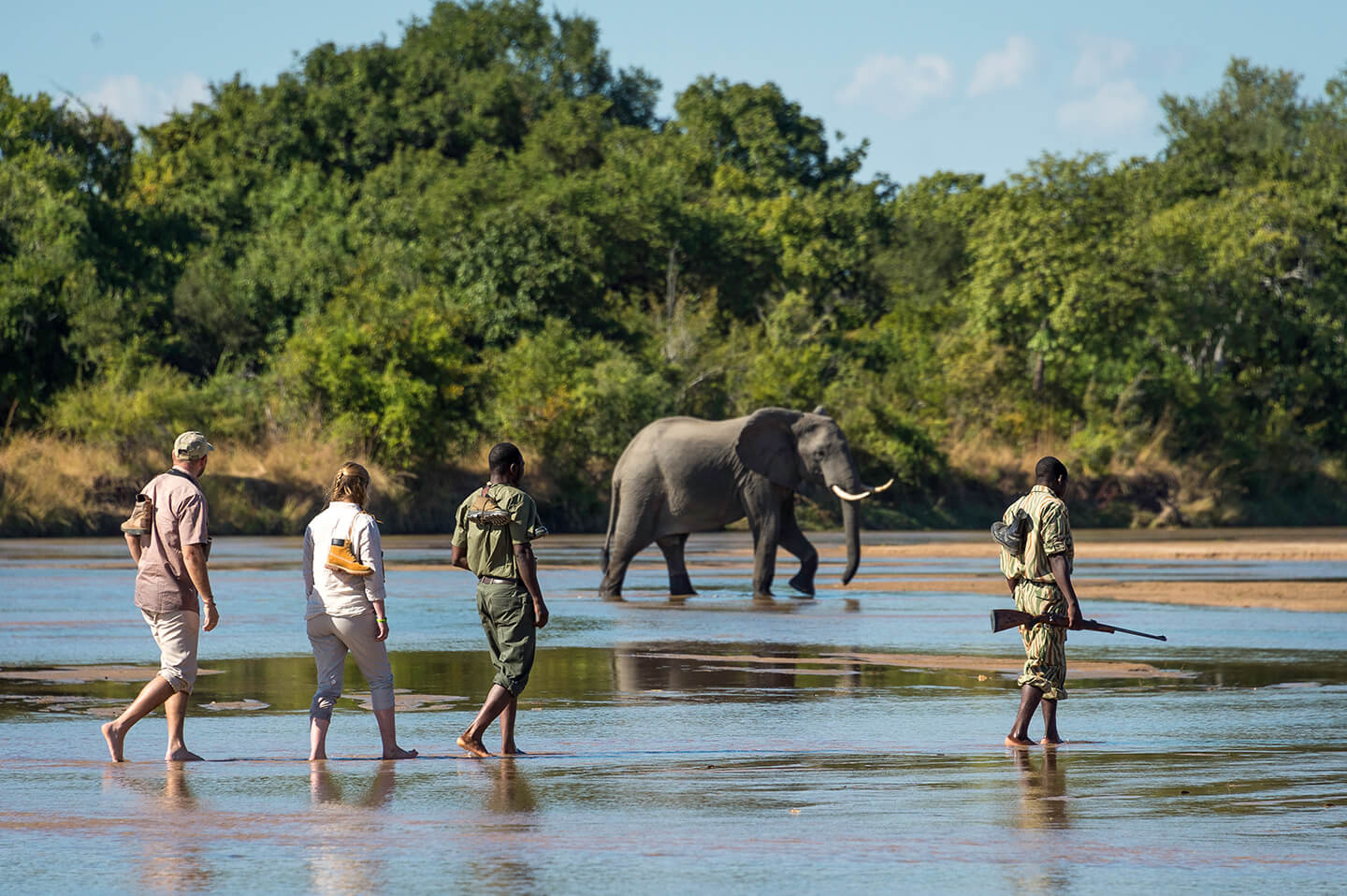 Zambia safari